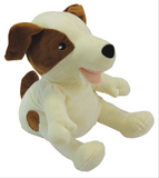 PATHS Preschool/Kindergarten Classroom Implementation Package